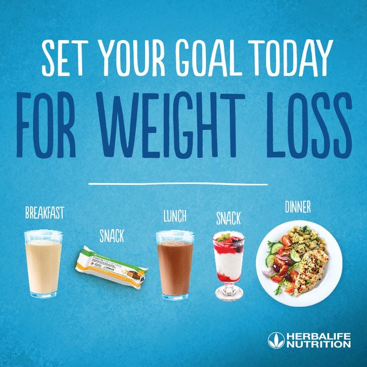 
                  
                    Load image into Gallery viewer, Healthy Weight Loss - Basic
                  
                